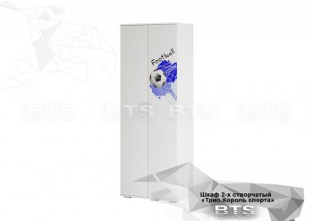 Шкаф 2-х створчатый ШК-09 Трио (белый/белый,фотопечать Король спорта) в Мотыгино - motygino.mebel54.com | фото