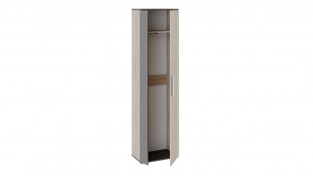 Шкаф для одежды «Нуар» тип 1 Фон серый/Дуб сонома в Мотыгино - motygino.mebel54.com | фото