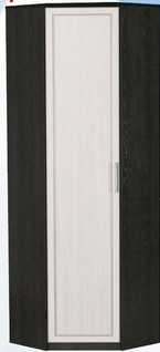 Шкаф для одежды угловой ДЛЯ ГОСТИНОЙ ШОУ-695 Венге/Дуб выбеленный в Мотыгино - motygino.mebel54.com | фото