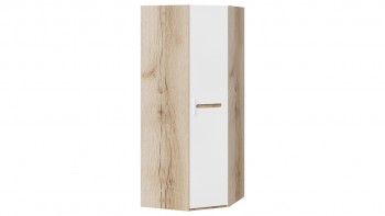 Шкаф угловой с 1-ой глухой дверью «Фьюжн» Дуб делано/Белый глянец в Мотыгино - motygino.mebel54.com | фото
